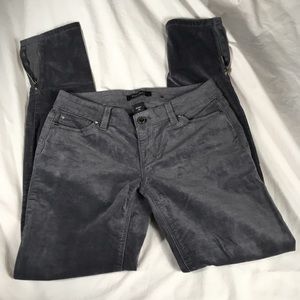 Grey Velour Zipper leg pant